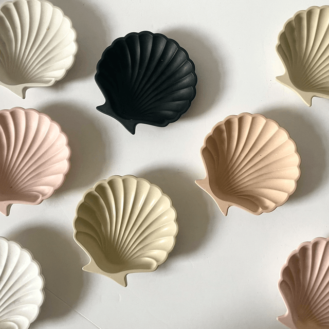 Shell #1