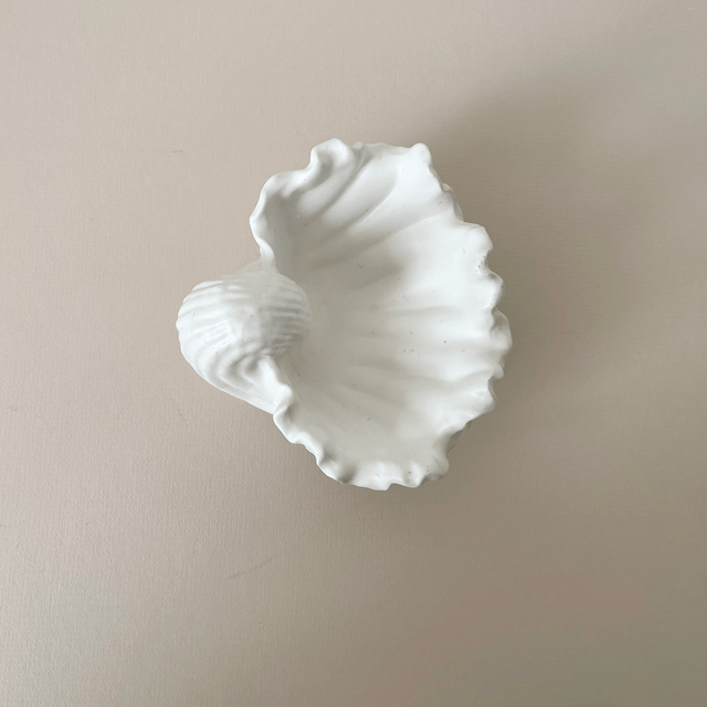 Conch Shell