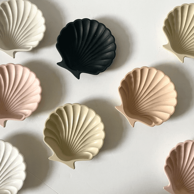 Shell #1